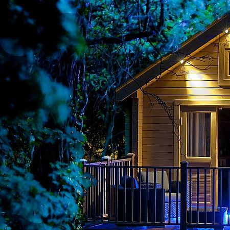 Villa Alum Chine Log Cabin Bournemouth Exterior foto