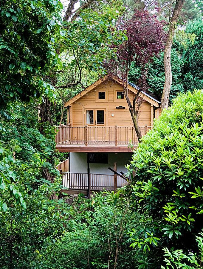 Villa Alum Chine Log Cabin Bournemouth Exterior foto